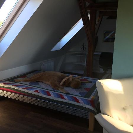 Ferienwohnung Schulze Freital Zewnętrze zdjęcie